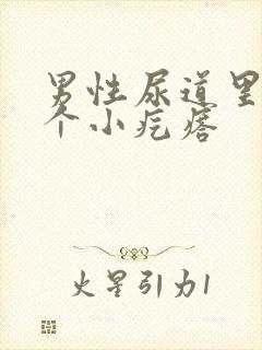 男性尿道里面有个小疙瘩