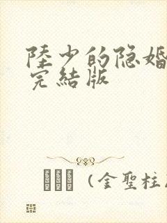 陆少的隐婚罪妻完结版