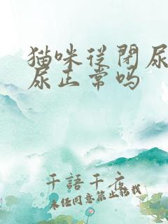 猫咪从闭尿到漏尿正常吗