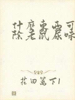 什么东西可以去除老鼠尿味