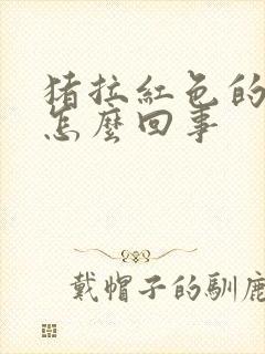 猪拉红色的粪便怎么回事