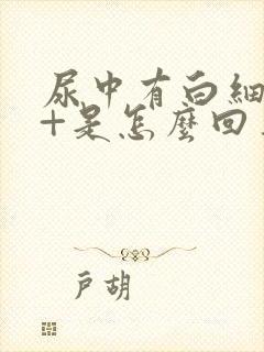 尿中有白细胞3+是怎么回事