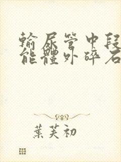 输尿管中段结石能体外碎石吗