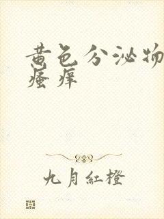 黄色分泌物伴有瘙痒