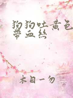 狗狗吐黄色粘液带血丝