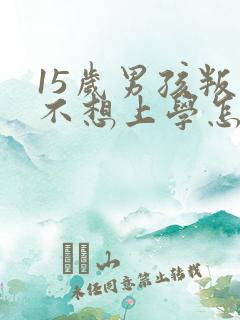 15岁男孩叛逆不想上学怎么教育