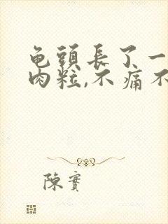 龟头长了一颗小肉粒,不痛不痒