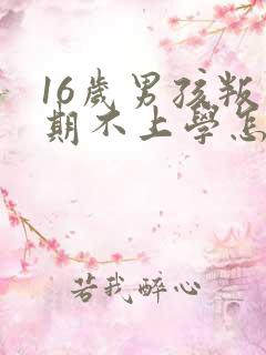 16岁男孩叛逆期不上学怎么办