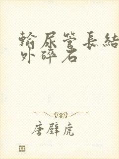 输尿管长结石体外碎石