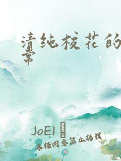 清纯校花的被日常