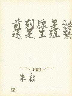 前列腺是泌尿系还是生殖系