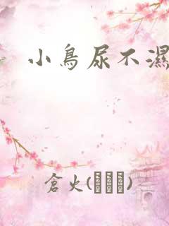 小鸟尿不湿