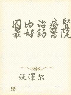 国内治疗肾脏病最好的医院