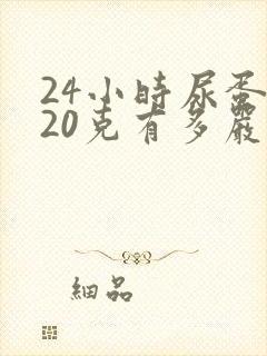 24小时尿蛋白20克有多严重