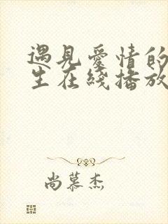 遇见爱情的利先生在线播放