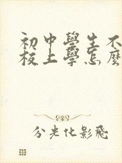 初中学生不去学校上学怎么办