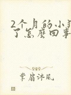 2个月的小狗吐了怎么回事