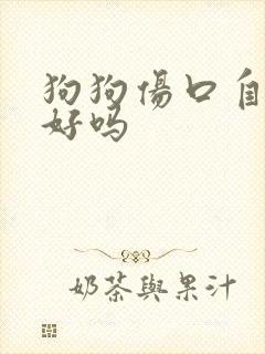 狗狗伤口自己舔好吗