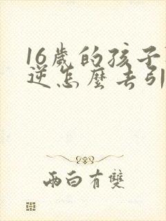 16岁的孩子叛逆怎么去引导