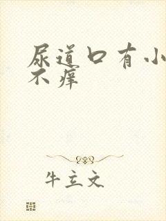 尿道口有小肉粒不痒