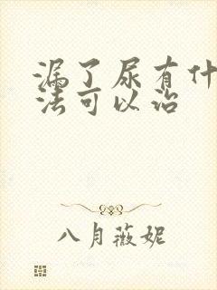 漏了尿有什么办法可以治