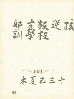 哪有叛逆孩子特训学校