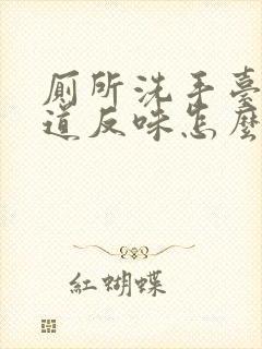 厕所洗手台下水道反味怎么办