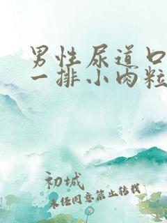 男性尿道口长了一排小肉粒