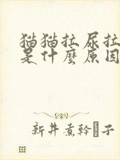 猫猫拉尿拉出血是什么原因