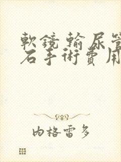 软镜 输尿管结石手术费用