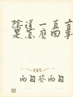 阴道一直有异味是怎么回事