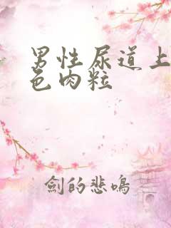 男性尿道上有白色肉粒