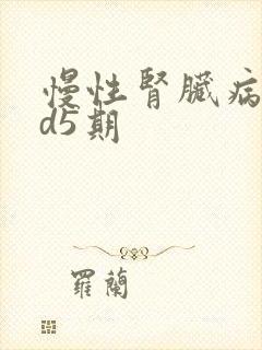 慢性肾脏病ckd5期