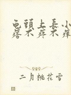 龟头上长小红疙瘩不疼不痒