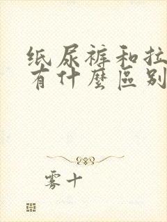 纸尿裤和拉拉裤有什么区别