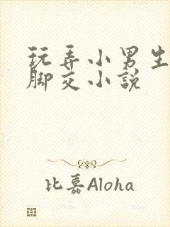 玩弄小男生玉足脚交小说