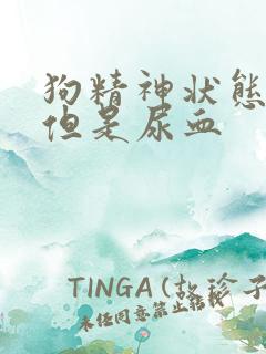 狗精神状态很好但是尿血