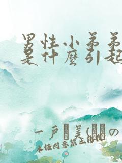 男性小弟弟流脓是什么引起的