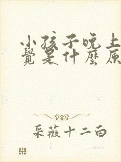 小孩子晚上不睡觉是什么原因呢