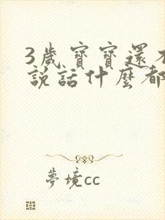 3岁宝宝还不会说话什么都听得懂