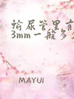 输尿管里有结石3mm一般多久排出