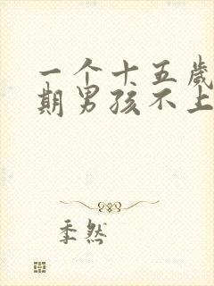 一个十五岁叛逆期男孩不上学该怎么办