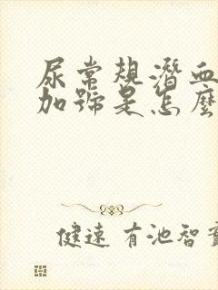 尿常规潜血2个加号是怎么回事