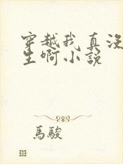 穿越我真没想重生啊小说