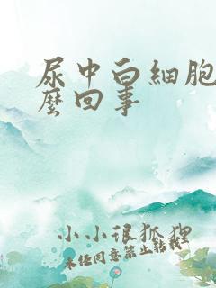 尿中白细胞高怎么回事