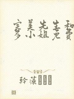 完美先生和差不多小姐免费在线观看