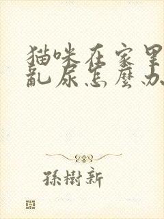 猫咪在家里到处乱尿怎么办