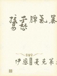 孩子脾气暴躁,易怒