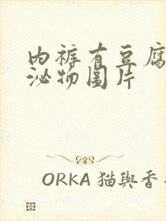 内裤有豆腐渣分泌物图片