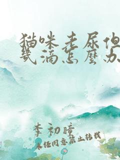 猫咪老尿但就尿几滴怎么办